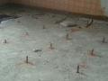 REHABILITACION
